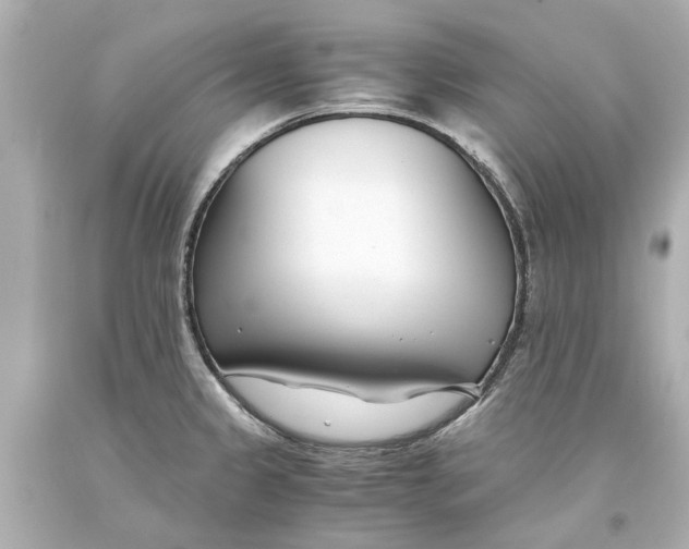 X0000093571333200711051049