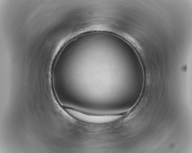 X0000093571334200711051049
