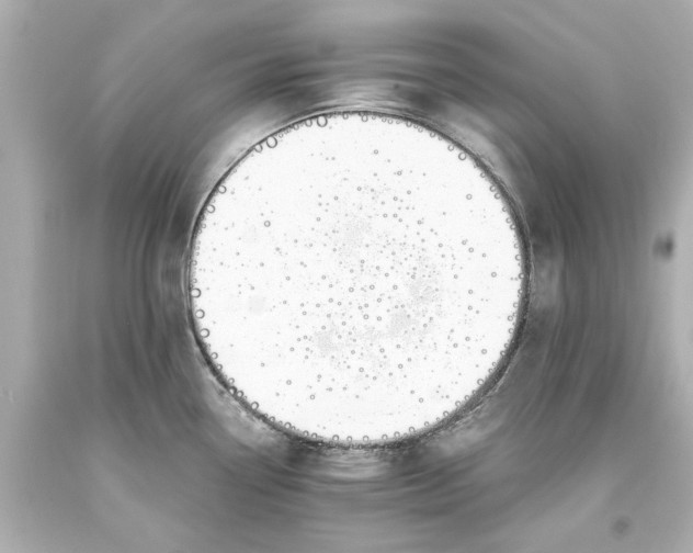 X0000093571338200711051050