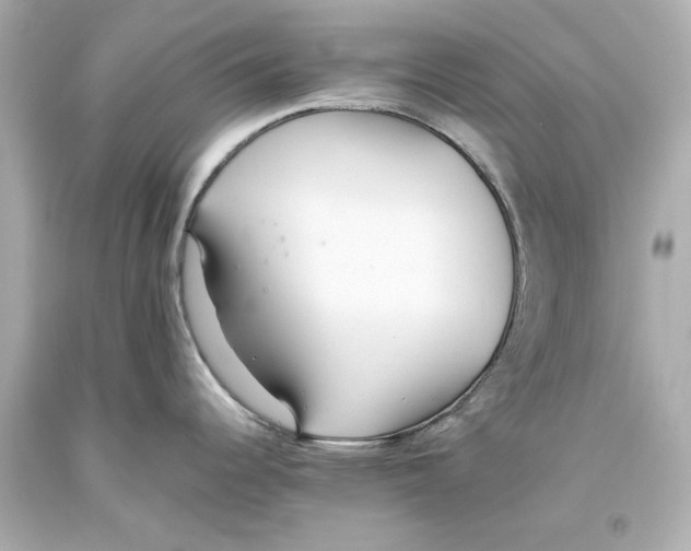 X0000093571344200711051050