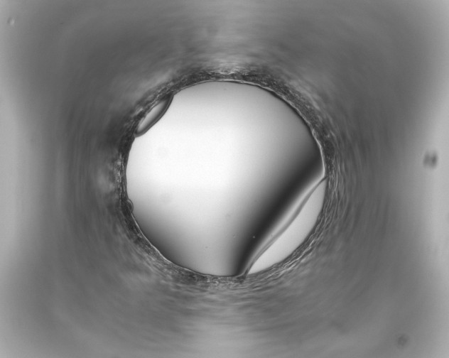 X0000093571349200711051049