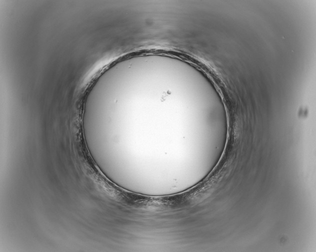 X0000093571359200711051049