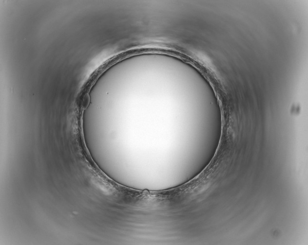 X0000093571360200711051049