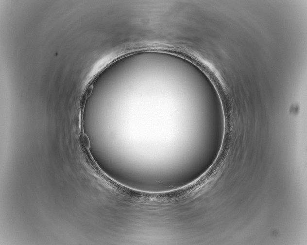X0000093571365200711051049