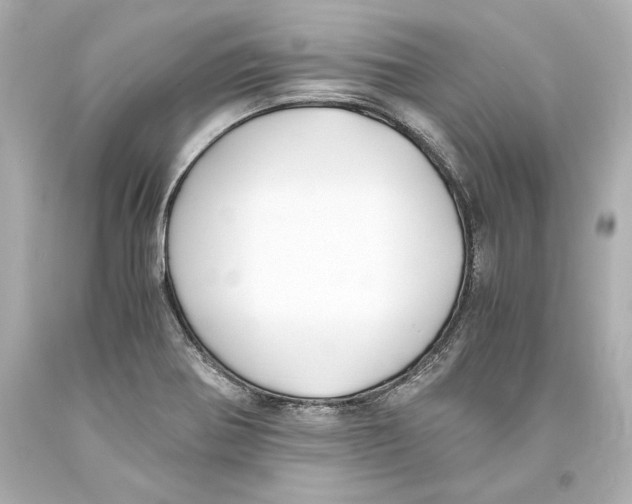 X0000093571370200711051049