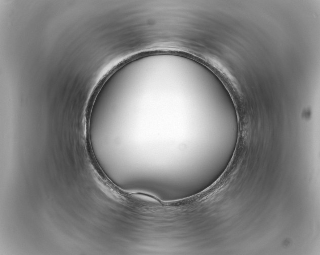 X0000093571372200711051049