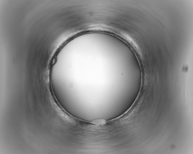 X0000093571376200711051049