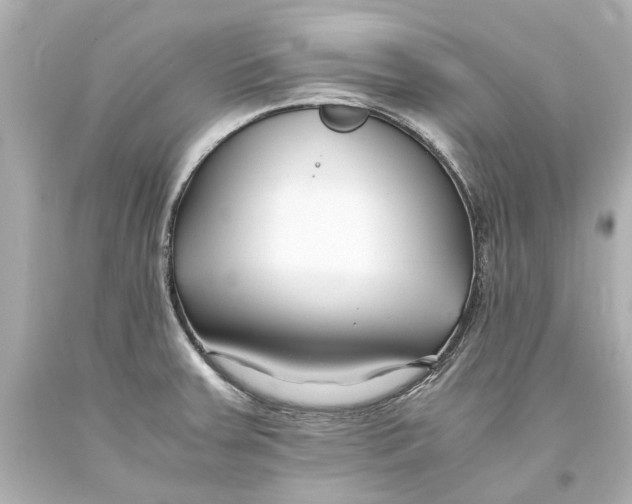 X0000093571379200711051049
