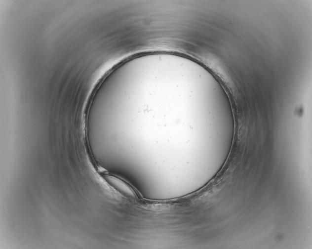 X0000093571380200711051049