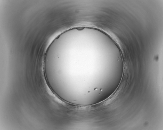 X0000093571390200711051048