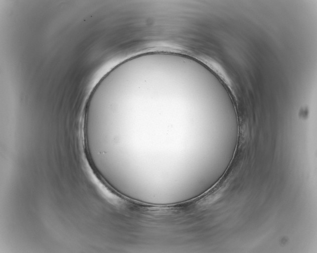 X0000093571391200711051048