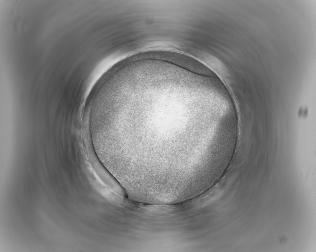 X0000093571392200711051048