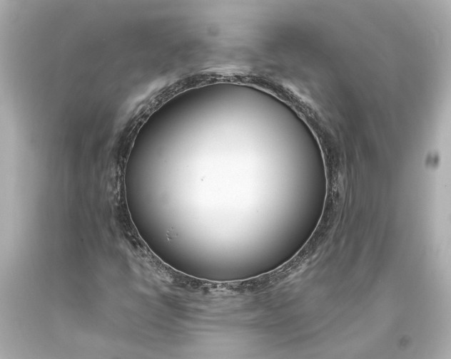 X0000093571398200711051048