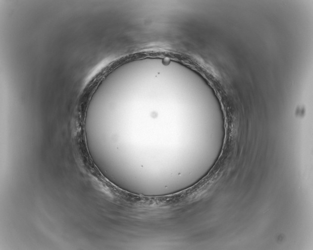 X0000093571400200711051048