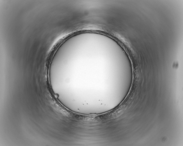 X0000093571408200711051048