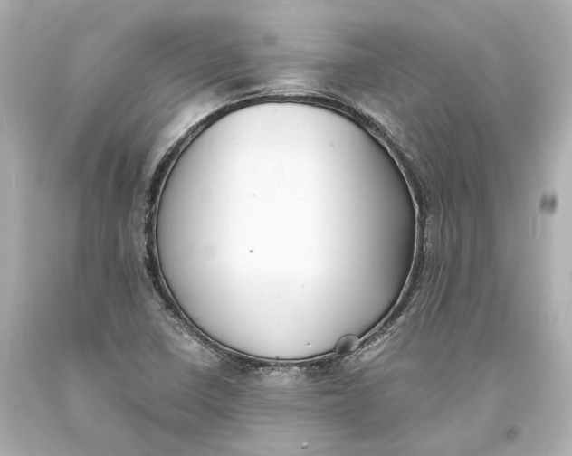 X0000093571410200711051048