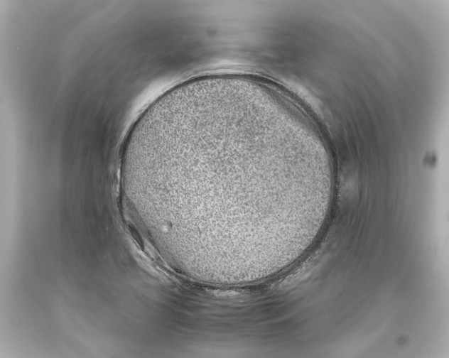 X0000093571413200711051048