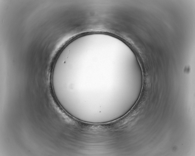 X0000093571416200711051048