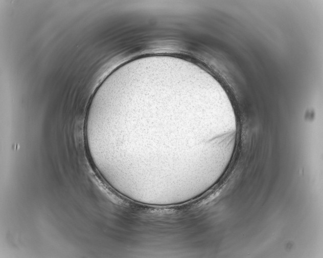 X0000093571417200711051048
