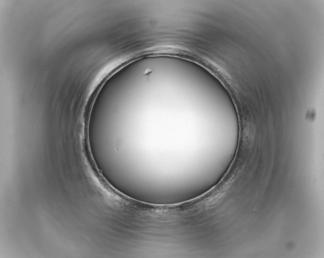 X0000093571418200711051048