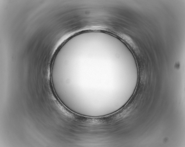 X0000093571420200711051048