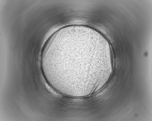 X0000093571421200711051048