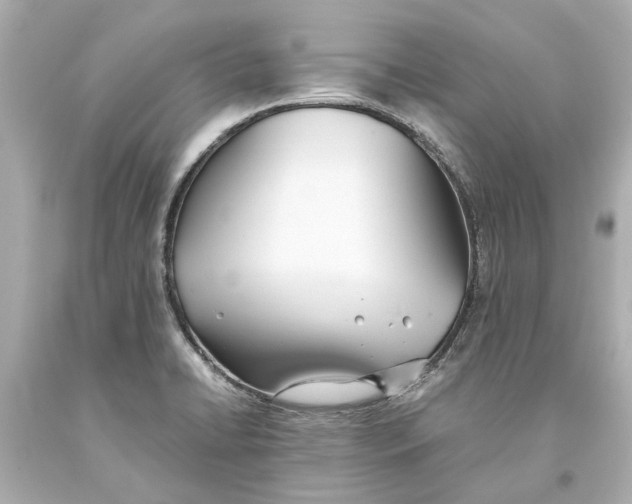 X0000093571422200711051048
