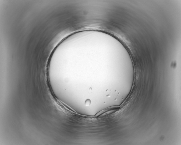 X0000093571423200711051048