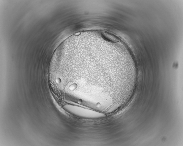 X0000093571425200711051048