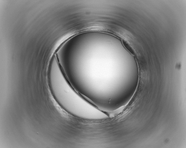 X0000093571426200711051048