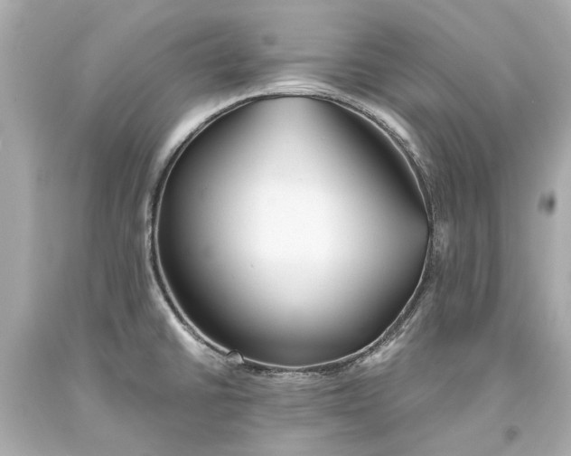 X0000093571430200711051048