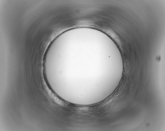 X0000093571431200711051048