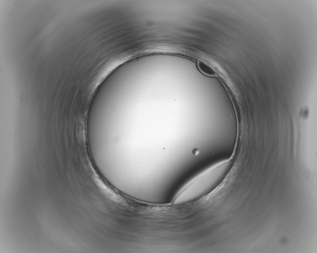 X0000093571433200711051048