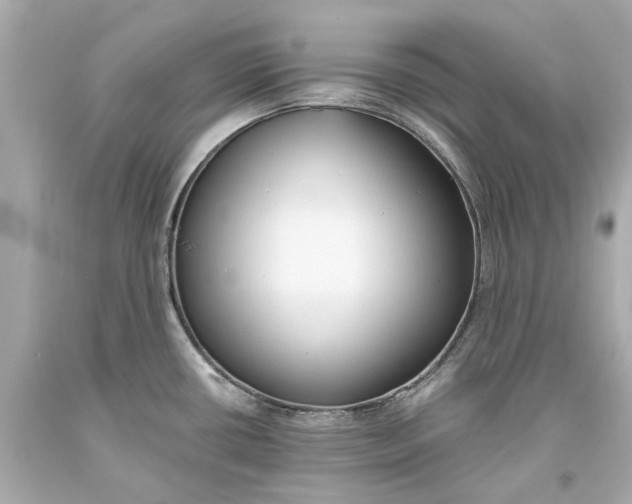 X0000093571434200711051048