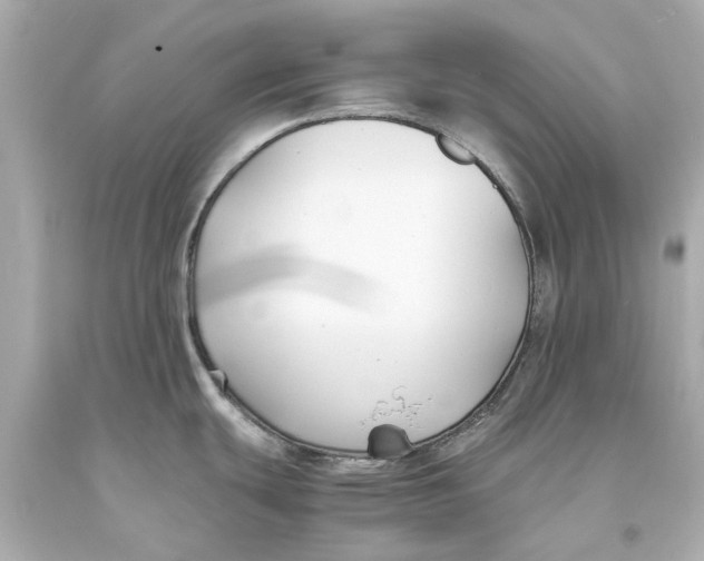 X0000093571439200711051048