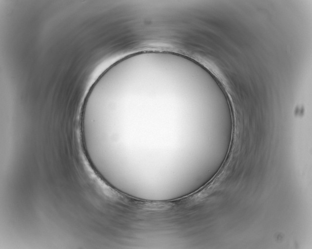 X0000093571440200711051048