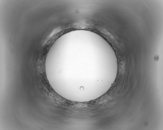 X0000093571446200711051048