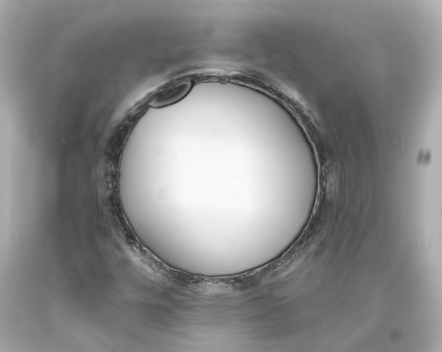 X0000093571448200711051048