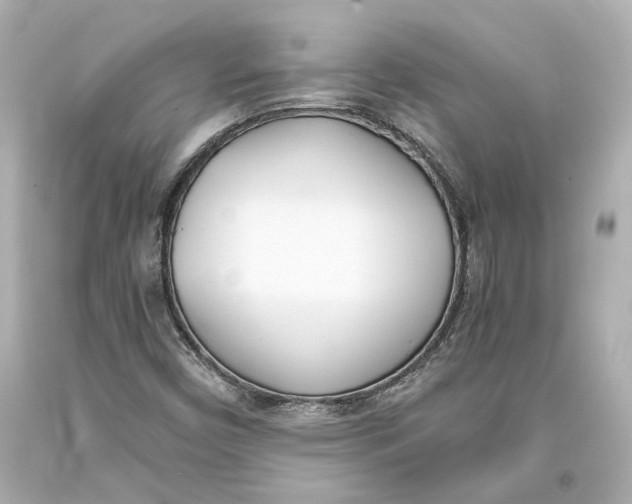 X0000093571450200711051048
