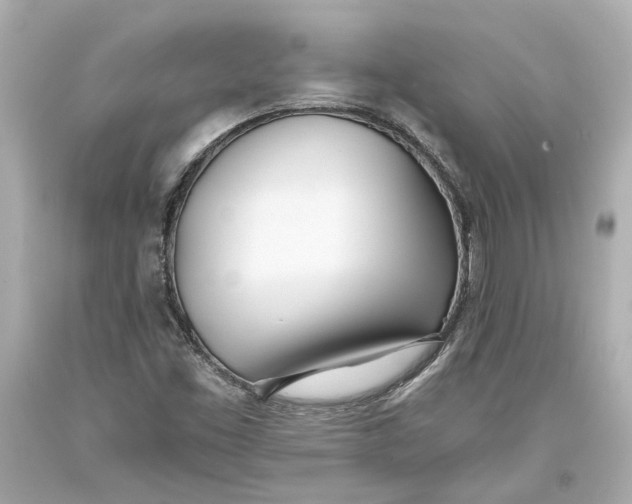 X0000093571453200711051048