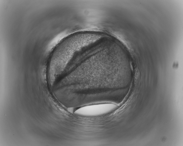 X0000093571455200711051047