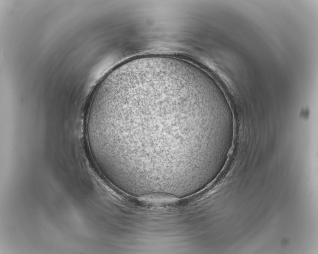 X0000093571459200711051047