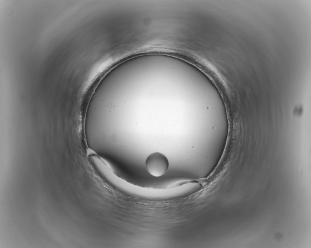 X0000093571461200711051047
