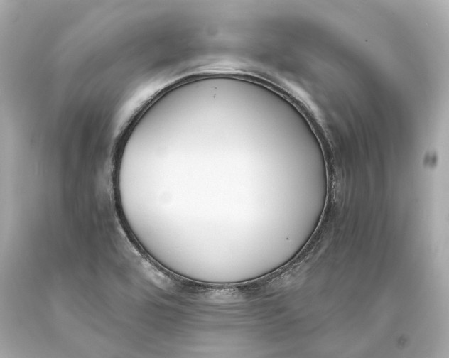 X0000093571464200711051047