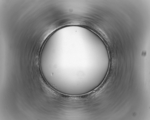 X0000093571465200711051047