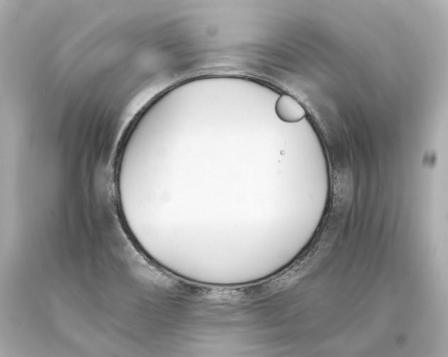 X0000093571466200711051047