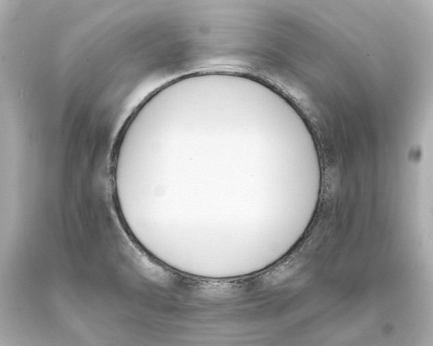 X0000093571470200711051047