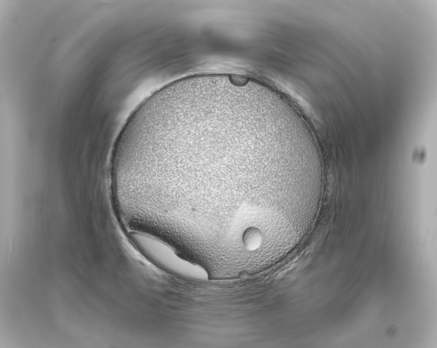 X0000093571471200711051047