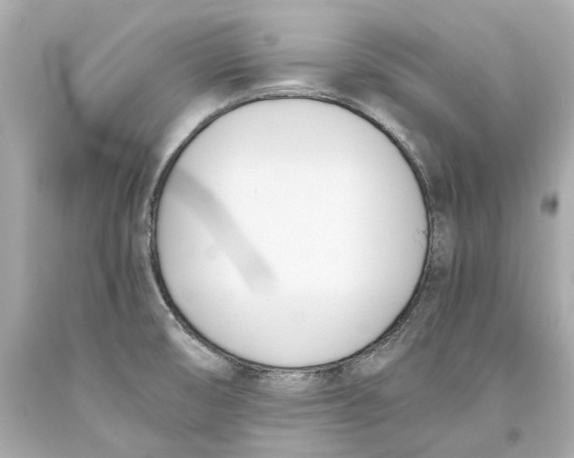 X0000093571474200711051047