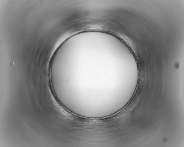 X0000093571475200711051047